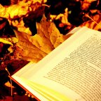 PUMPKIN AUTUMN CHALLENGE 2018